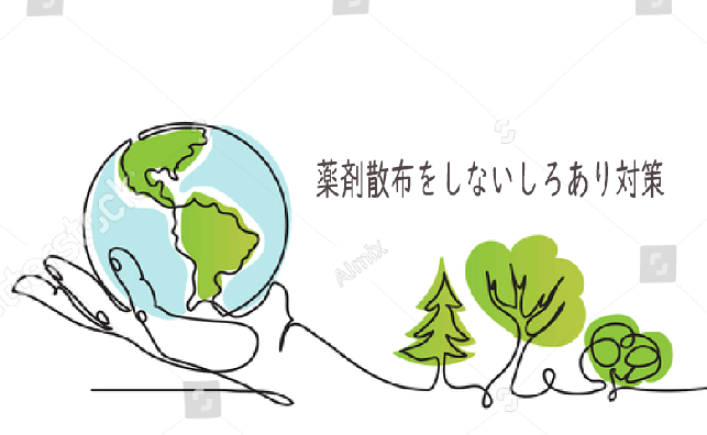 ベイト工法のシロアリ駆除