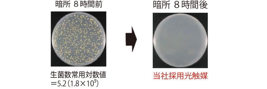 駆除の匠スタッフ