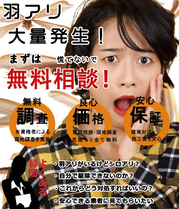 羽アリ大量発生。まずは無料相談
