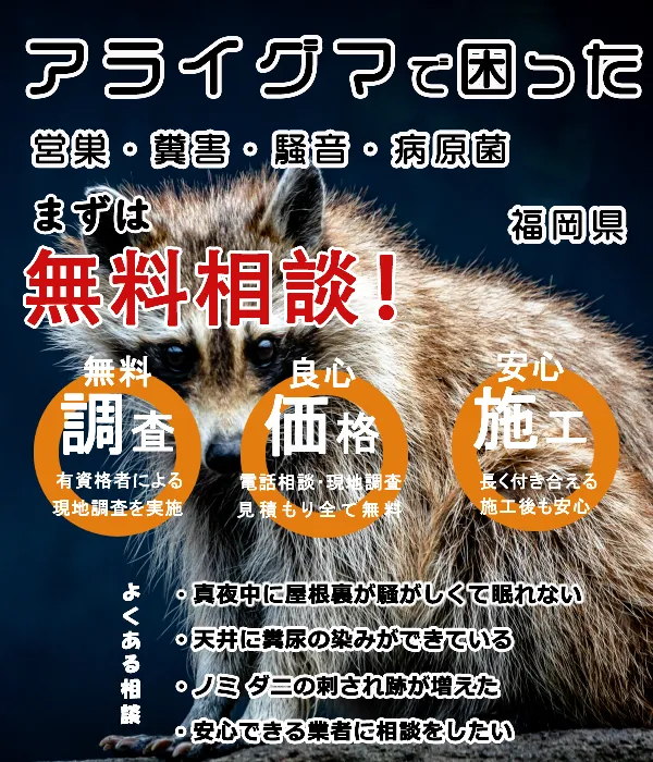 福岡のアライグマ駆除業者