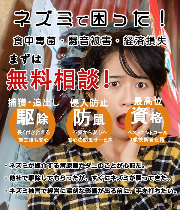 福岡のネズミ駆除業者