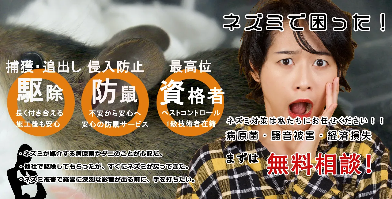 福岡のネズミ駆除業者