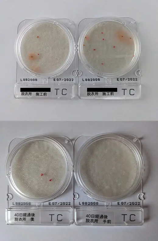落下菌検査